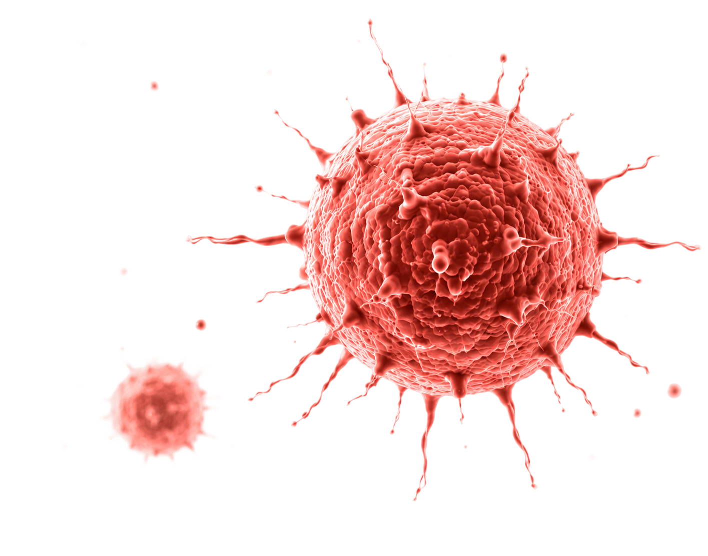 Oncology